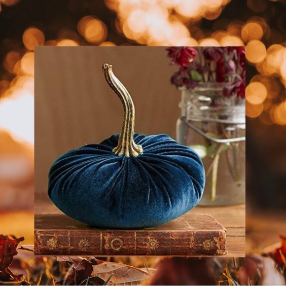 Pumpkin Velvet Decoration color black Weighted(0.11.3oz) 8"x 8” New without tag - Picture 6 of 15